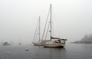 used sailboats for sale washington state