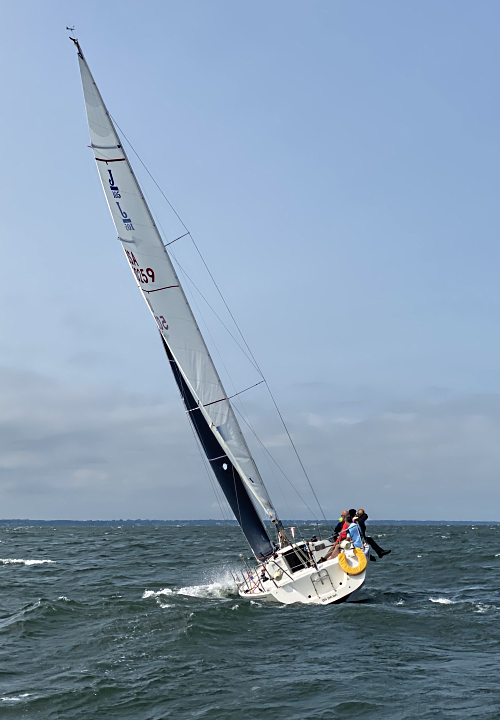 new mainsail price