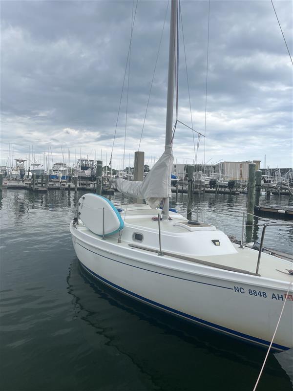 Image-6