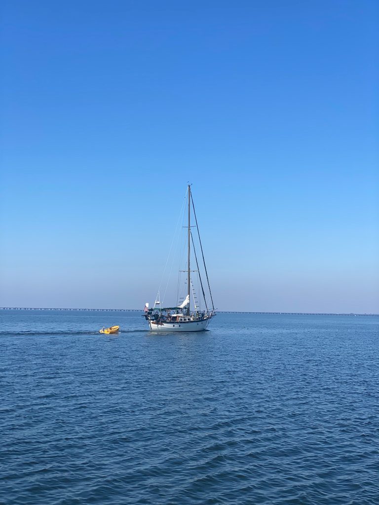 02-Return-from-Cat-Island-1