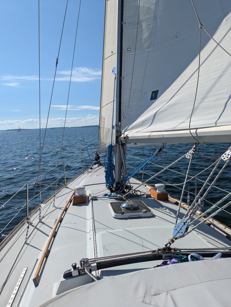 3-Zephyr-Sale-Sailing-view-to-bow-from-dodger