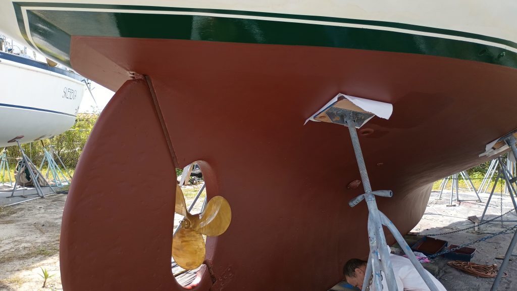 IMG_20231102_130524274