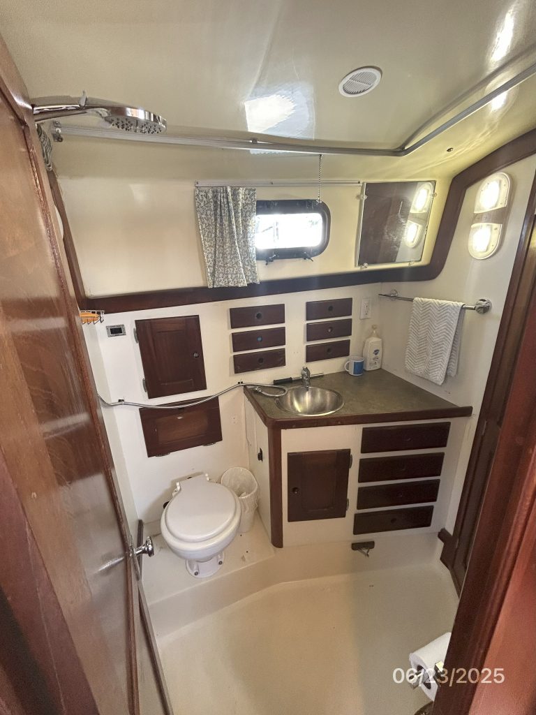 Lilly-Pearl-head-shower-hr1-6-23-25