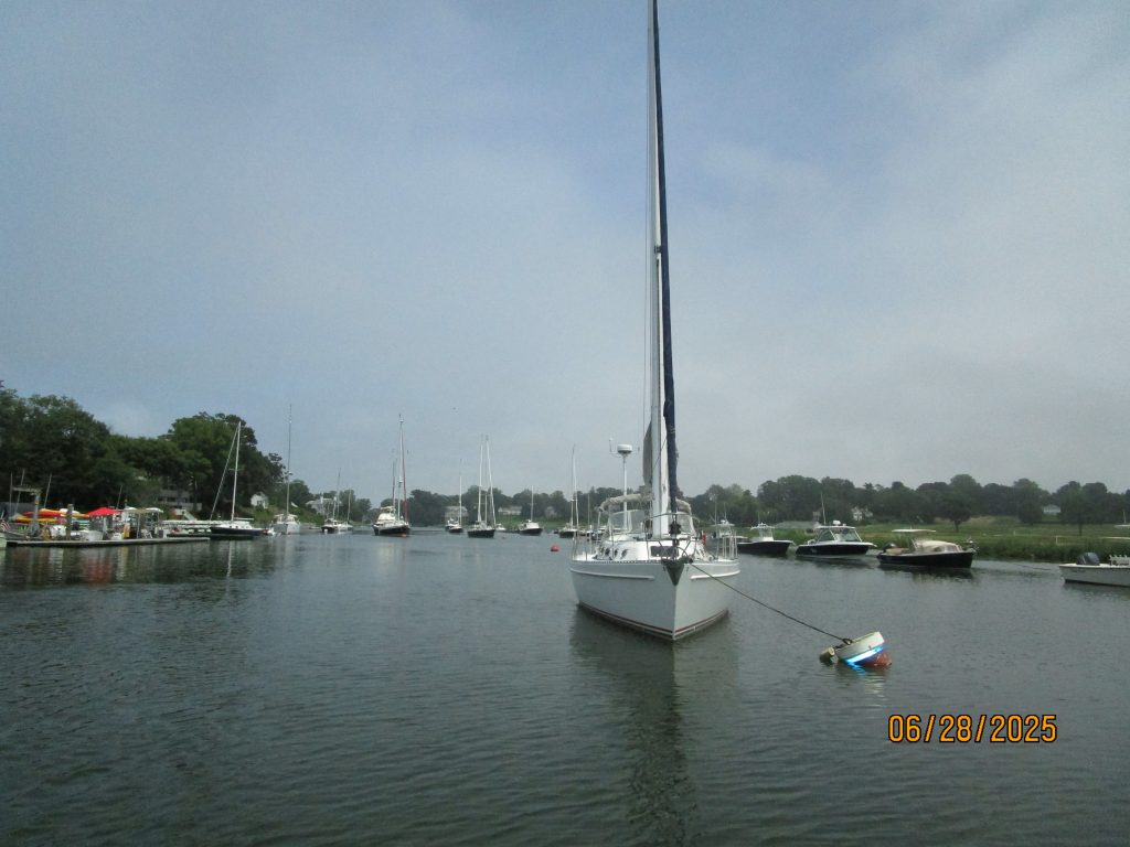 Shari-fwd-profile-6-28-25