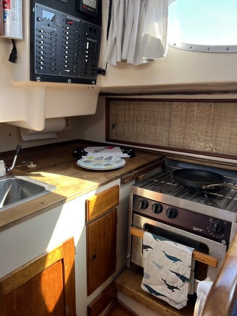 Oven-and-electric-panel